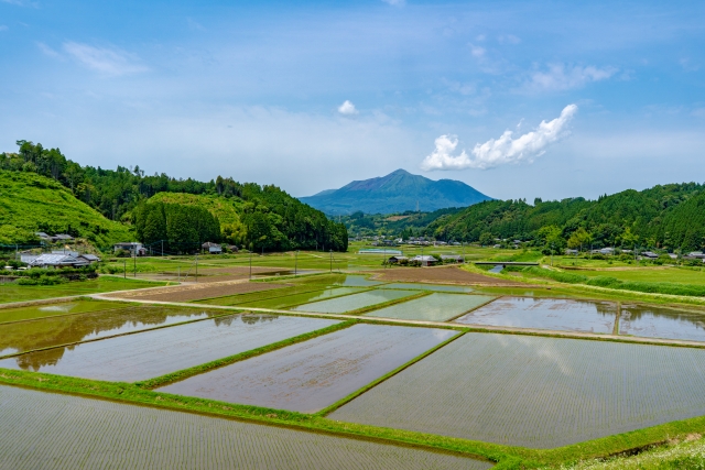 田園風景